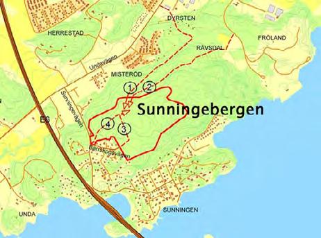 PROGRAM FÖR PLANOMRÅDT n etaljplan ska enligt kap PL i en lyelse plan och bygglagen (PL 7:0 hae före 0-0-0 gruna sig på ett program som utgångspunkt för etaljplanen om et inte är onöigt.