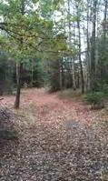 Vegetationen består av glesbevuxen skog av tall björk gran me inslag av ek och en. Även yngre tätare granskog finns. Delar av skogen är avverka. I markskiktet är ljung vanligt förekommane.