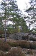 Jättegrytan har inget specifikt lagstagat sky. Jättegrytan kommer att kunna bevaras inom allmän platsmark natur.
