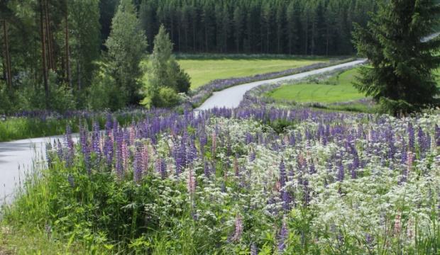 bearbetning, sådd, växtskydd -> med en marknadsduglig skörd som mål