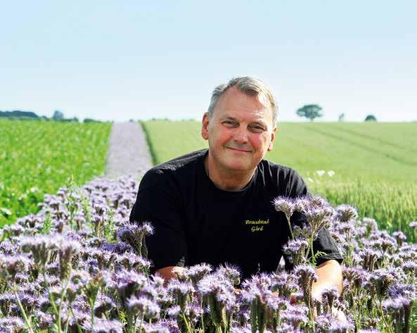 Kostnader och erfarenheter Det saknas idag bra uppskattningar på gårdsnivå om de andra värden som kan räknas hem vid anläggandet av blommande remsor i form av till exempel ökad pollinering och