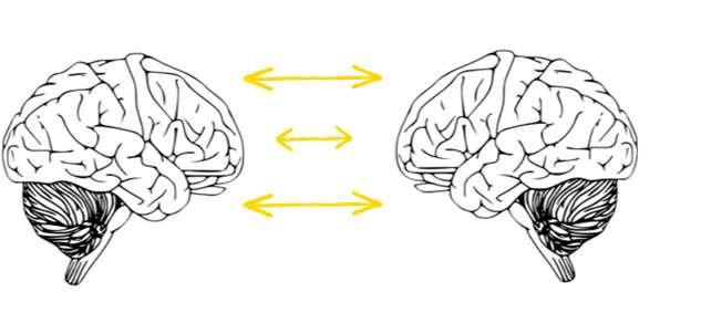 Princip 3: Affektsmitta Princip 3: Affektsmitta Spegling sker på neurologisk nivå Vanligtvis kan de flesta av oss skilja på dina och mina affekter Vissa har dock av olika anledningar svårare att