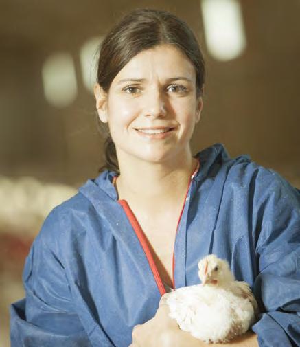 Utbildning av personal som lastar kyckling EU-förordningen om slakt och avlivning av djur som antogs 2009 innehåller sedan 1 januari 2013 ett krav på utbildning av all slakteripersonal som arbetar