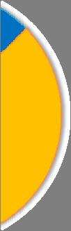 Language 50% 2005