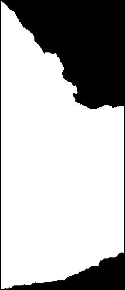 49% Urban population resides in