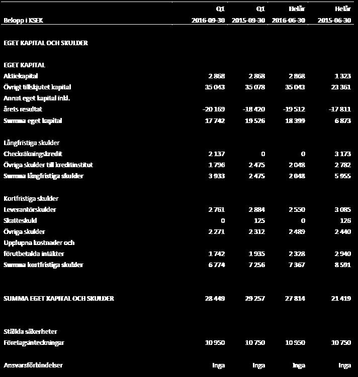 Koncernens balansräkning Q1-2016/2017, eget kapital och skulder Sidan 9