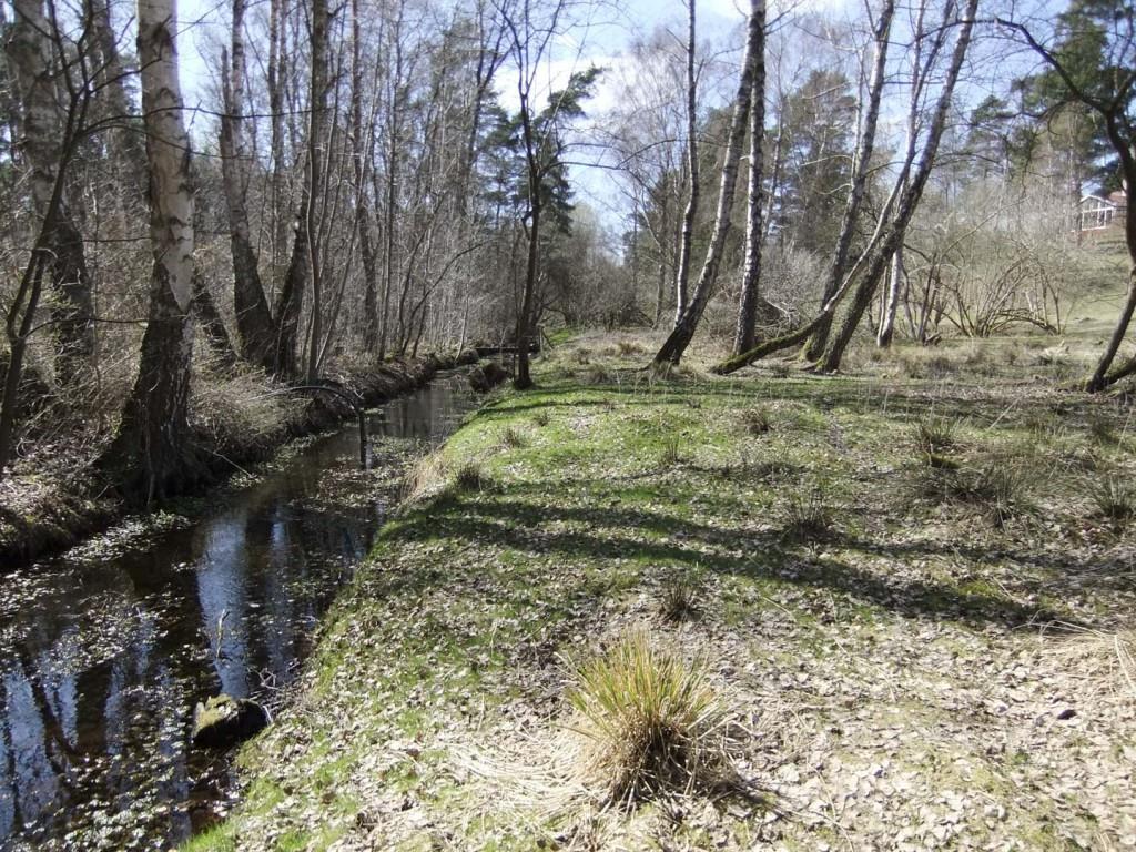 Landskrona stad har fått medel från LONA (LOkala NAturvårdssatsningen) för att anlägga naturmarker runt ån.