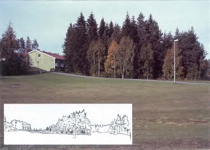 Den skötta skogen Skogen i och nära tätorterna växer bättre än skogen på landsbygden. Samhällena är ofta koncentrerade till platser med bättre klimat och med bättre jord.