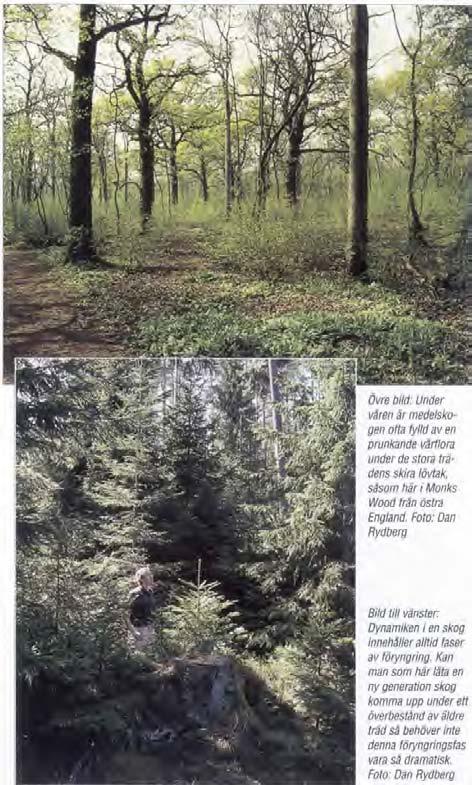 (31-(UNA FAKTA 7/99 bebyggelse, då invånarna ofta upplever det negativt att skogen eller träden försvinner.
