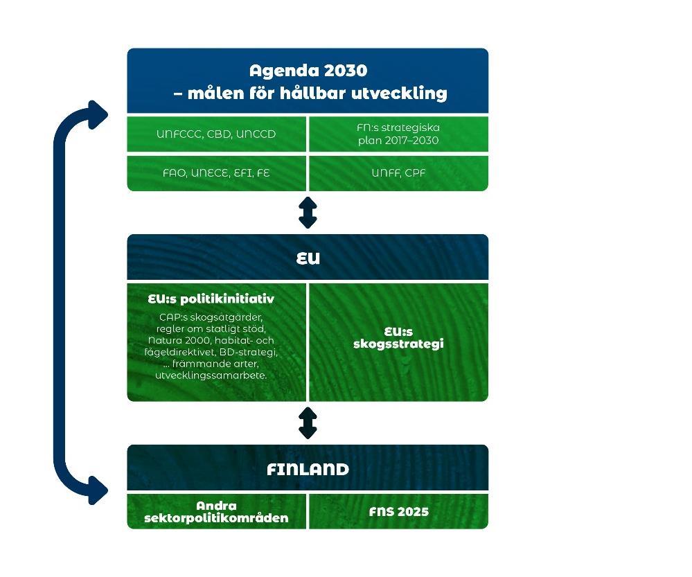 EU:s skogsstrategi är det viktigaste instrumentet att förbättra samordningen av EUinitiativ som påverkar skogarna. En uppdaterad strategi publicerades 2013 och ett genomförandeprogram 2015.