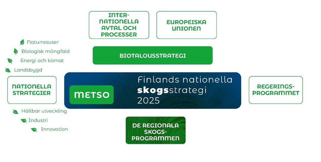 har ett samband med ett eller flera av målen i Agenda 2030. Den nationella skogsstrategin stöder för skogarnas del även genomförandet av bioekonomistrategin.