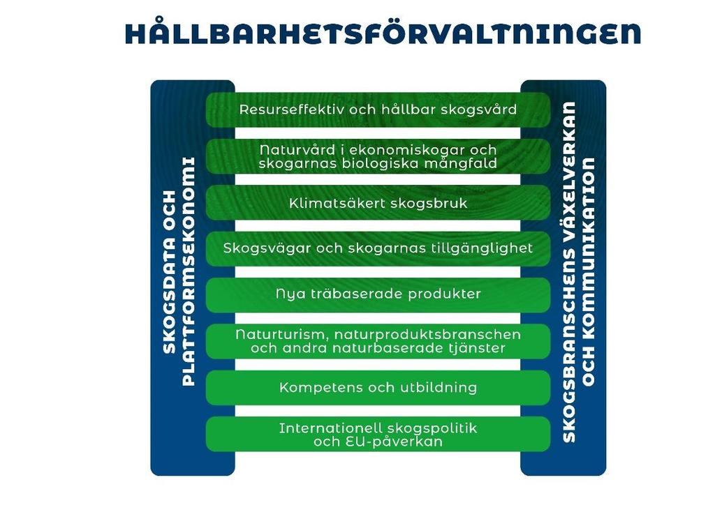 Bild 6. Nationella skogsstrategin 2025, uppdaterade strategiska projekt. Detaljerade projektbeskrivningar: Strategiskt projekt A.