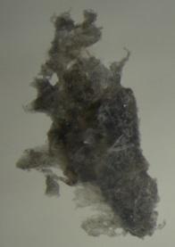 Figur 7. Grått fragment i S1_2 identifierat som polypropen med hjälp av ATR-FTIR.