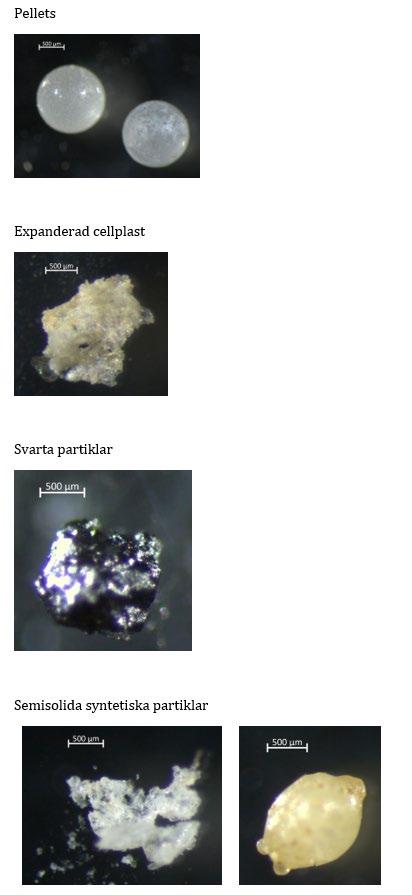 Mikroplaster i