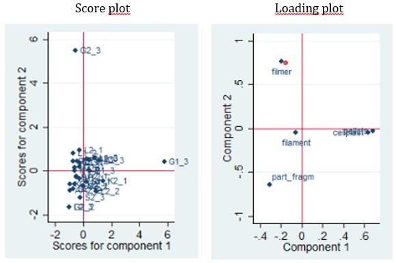 Appendix 2 Principalkomponentanalys (PCA, Principal Component Analysis) med samtliga 30 provpunkter (observations) och variablerna partiklar/fragment, filmer, filament, pellets och cellplast