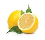 15ml Blandning av citrus och mint Njut av friska Epoch Sunshine, en balanserad blandning av de eteriska oljorna citrus och mint.