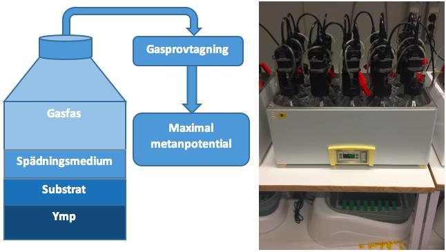 metan som bildas. Substratet blandas i en flaska och får stå under syrefria förhållanden vid önskad temperatur.