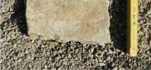 Här framkom ett ca 15 cm stort fragment av en stenplatta, möjligen en del av en gravsten.
