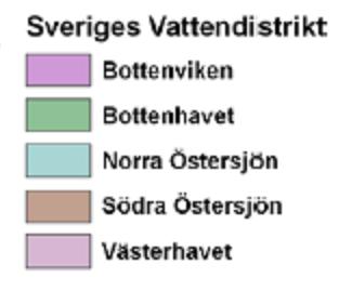 till besluten Är motiven att delta i