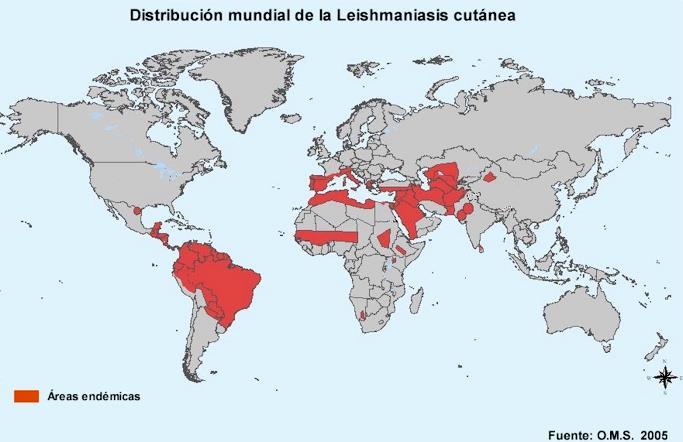 Global utbredning av kutan leishmaniasis - Endemisk i > 80 länder