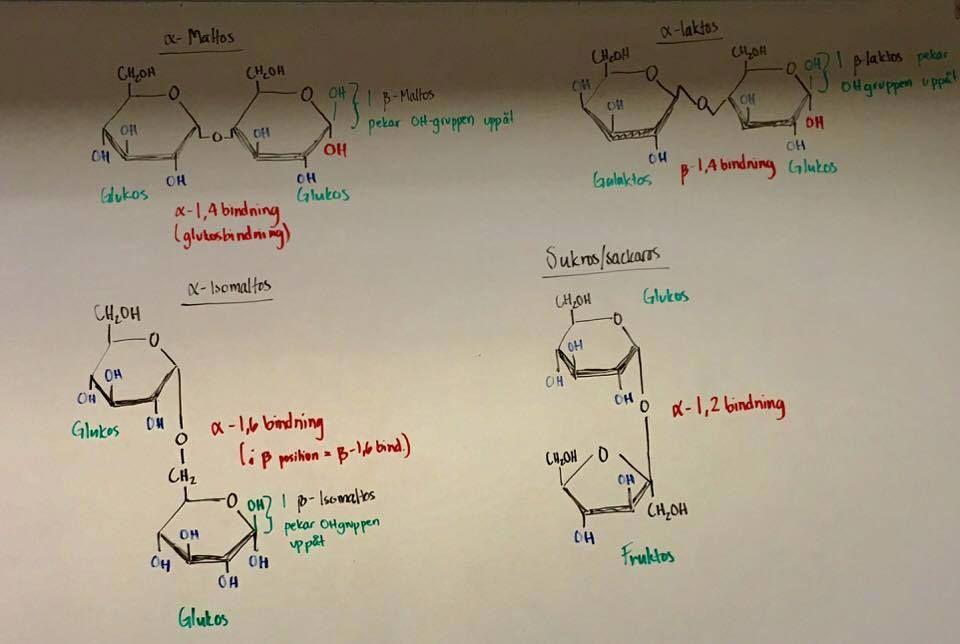 Redogöra för strukturen hos följande övriga kolhydraters struktur: maltos och isomaltos (H),