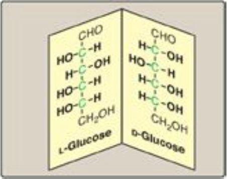 Beskriva vilket asymmetriskt kol som avgör om ett socker är L eller D, respektive eller.