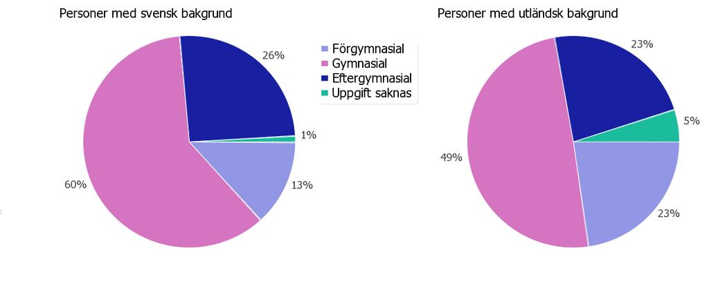 Utbildningsnivå efter etnisk bakgrund, befolkningen