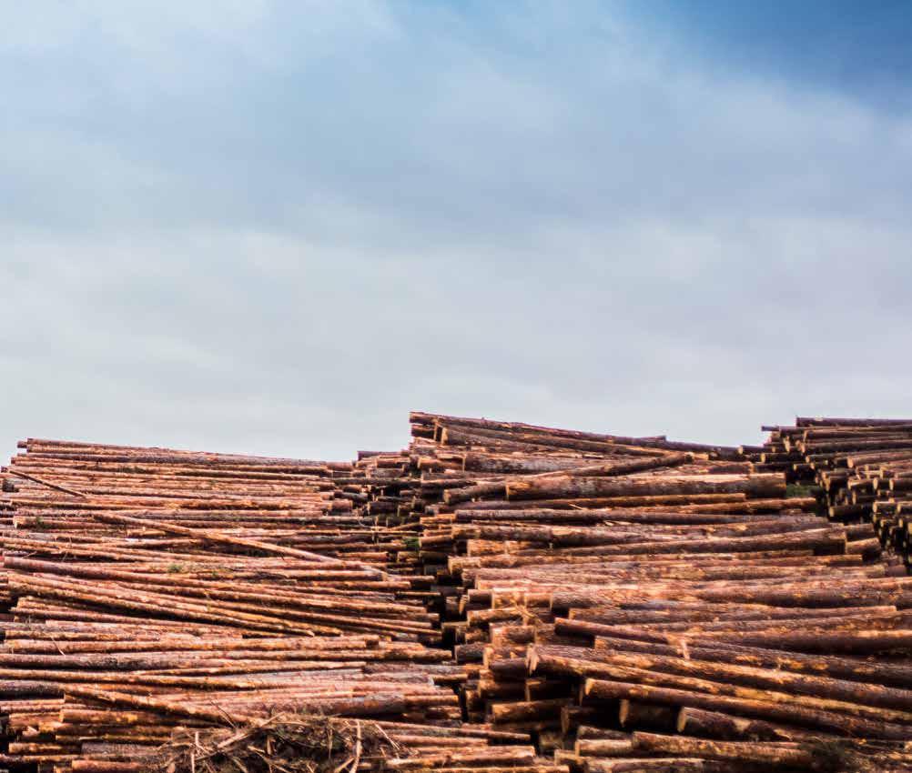 RÅVARUFÖRSÖRJNINGEN CERTIFIERAD VEDRÅVARA RÅVARU- FÖRSÖRJNING VED Köps som massaved eller flis. Sveaskog och skogsägareföreningen Mellanskog är de största leverantörerna.