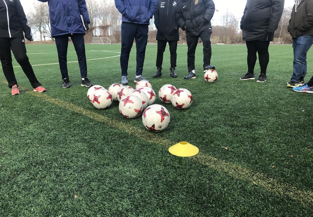 1. Varför ska vi ta fram en handlingsplan? DET FINNS ÖVER 760 elva-mannaplaner, ca 280 fem- till nio-mannaplaner och 85 hallar med konstgräs i Sverige (IVL 2019).