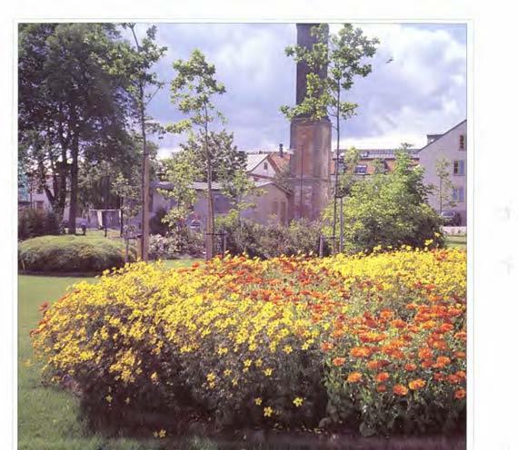 Bakom detta Gröna Fakta ligger två års fältförsök med nya och gamla sommarblommor på Sveriges