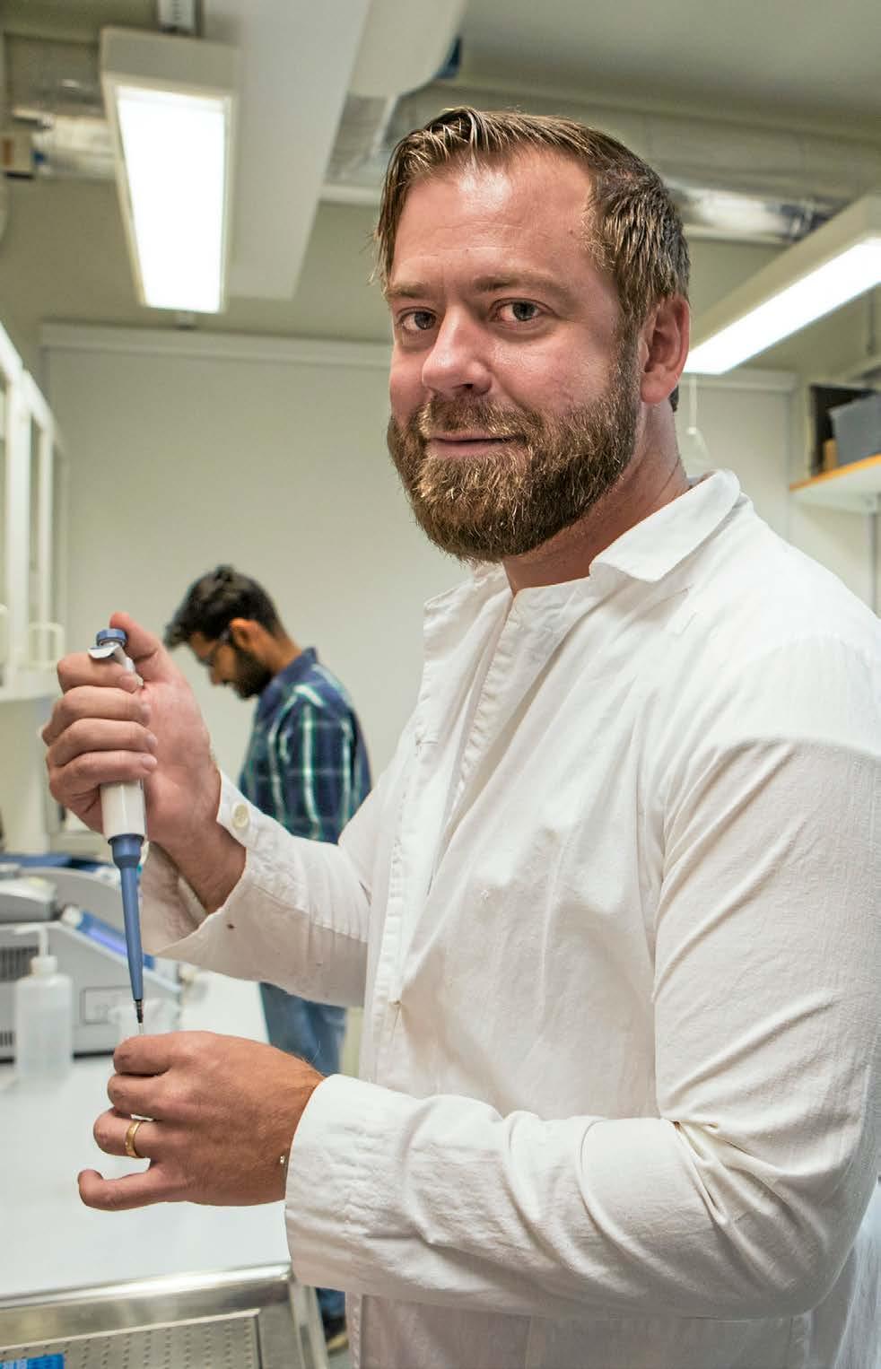 Stör luktsinnet få mindre skador Genom att störa barkborrens luktsinne kan skadorna minska i skogen. Det visar ett forskningsprojekt vid Lunds universitet.