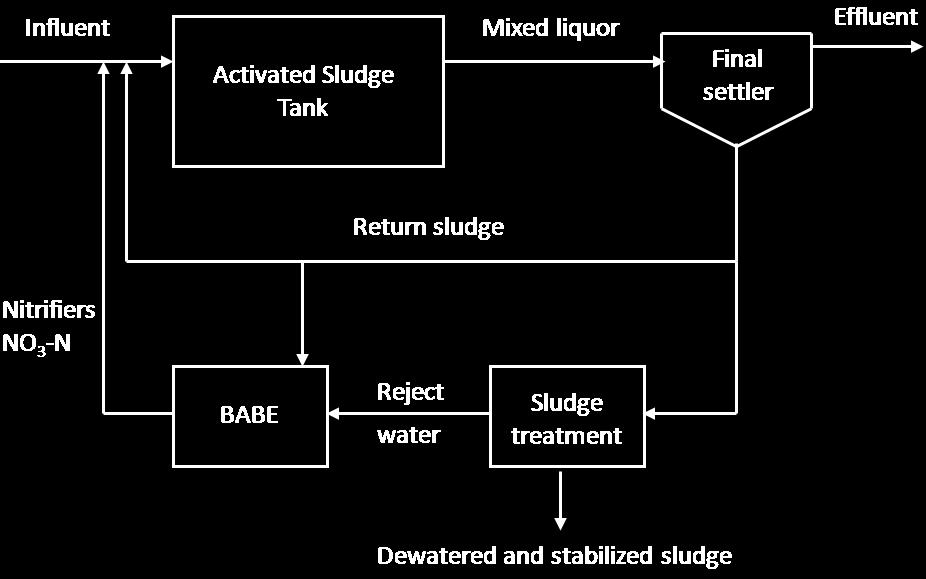 Study on one-stage Partial Nitritation-Anammox process in MBBRs: a sustainable nitrogen removal Fig. 7. BABE configuration for reject water from dewatering of digested sludge.