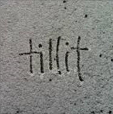 Tillit i fokus!