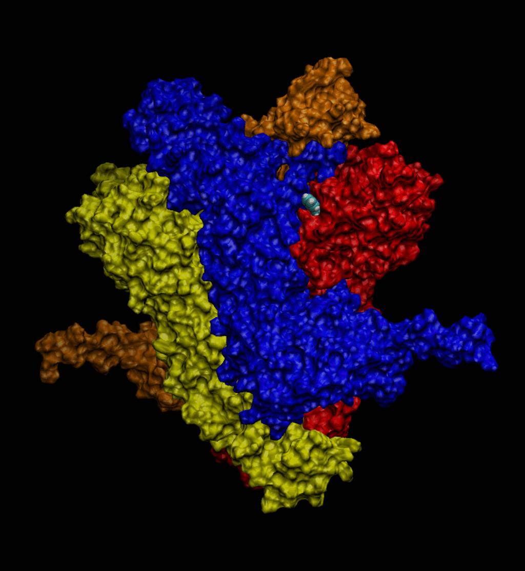 Figura 27S. Estrutura da fumarato hidrogenase de Meloidogyne hapla (ita2-1yfm) representada na forma de MSMS pelo programa computacional VMD 1.9.1. A cada cadeia foi conferida uma cor diferente.