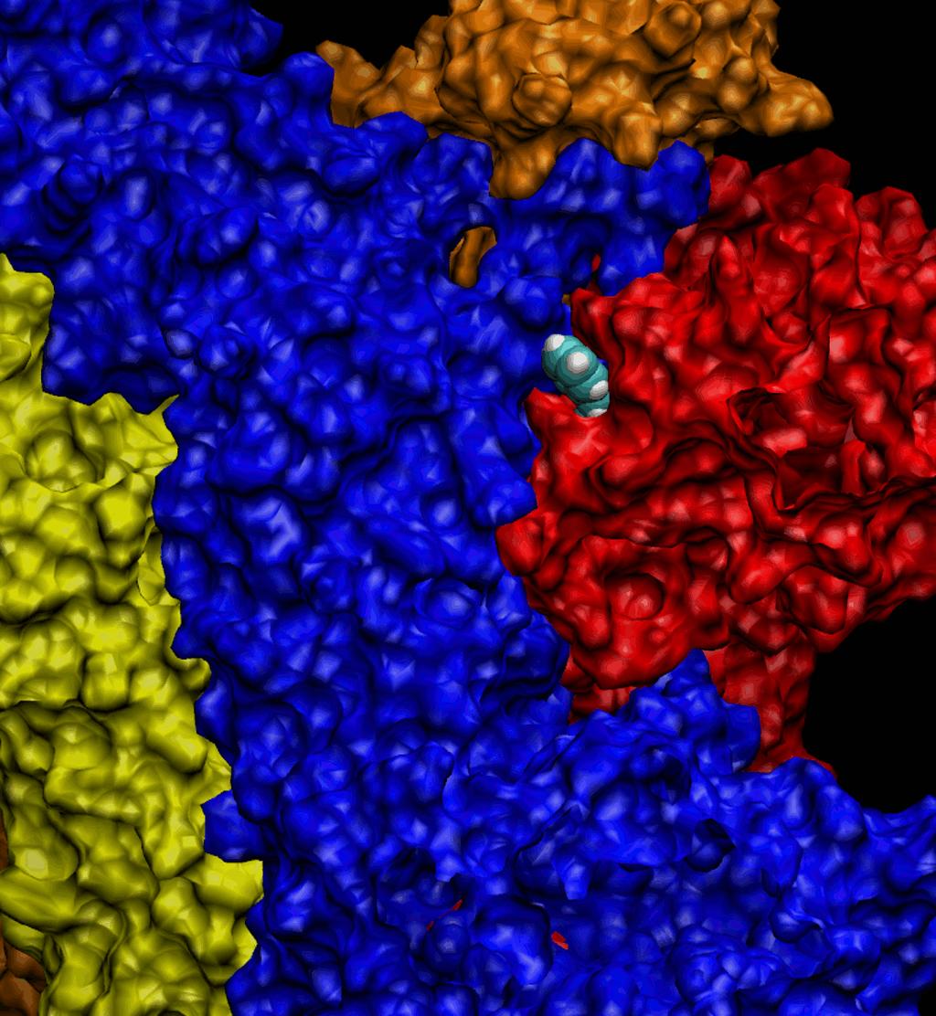 Figura 28S. Estrutura da fumarato hidrogenase de Meloidogyne hapla (ita2-1yfm) representada na forma de MSMS pelo programa computacional VMD 1.9.1. A cada cadeia foi conferida uma cor diferente.