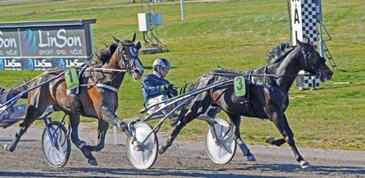 HalmstadTravet Måndag