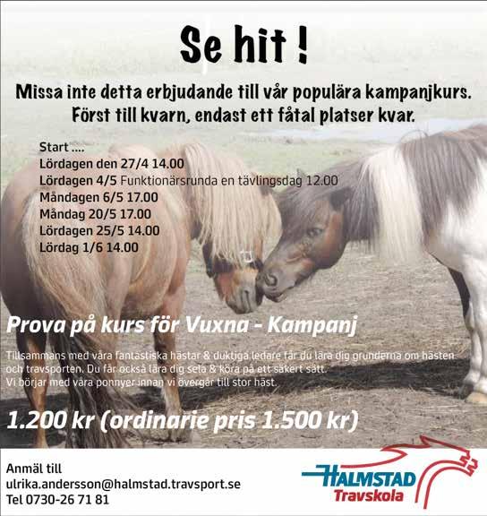 HALMSTAD // 8 0 M VOLTSTART START 0. V- V- VINNARE PLATS -åriga och äldre 8.00 -.000 kr. Körsvenskrav kat.. 0 m. Voltstart. Pris:.000-.00-8.000-.00-.00-.00-(.00)-(.00) kr.