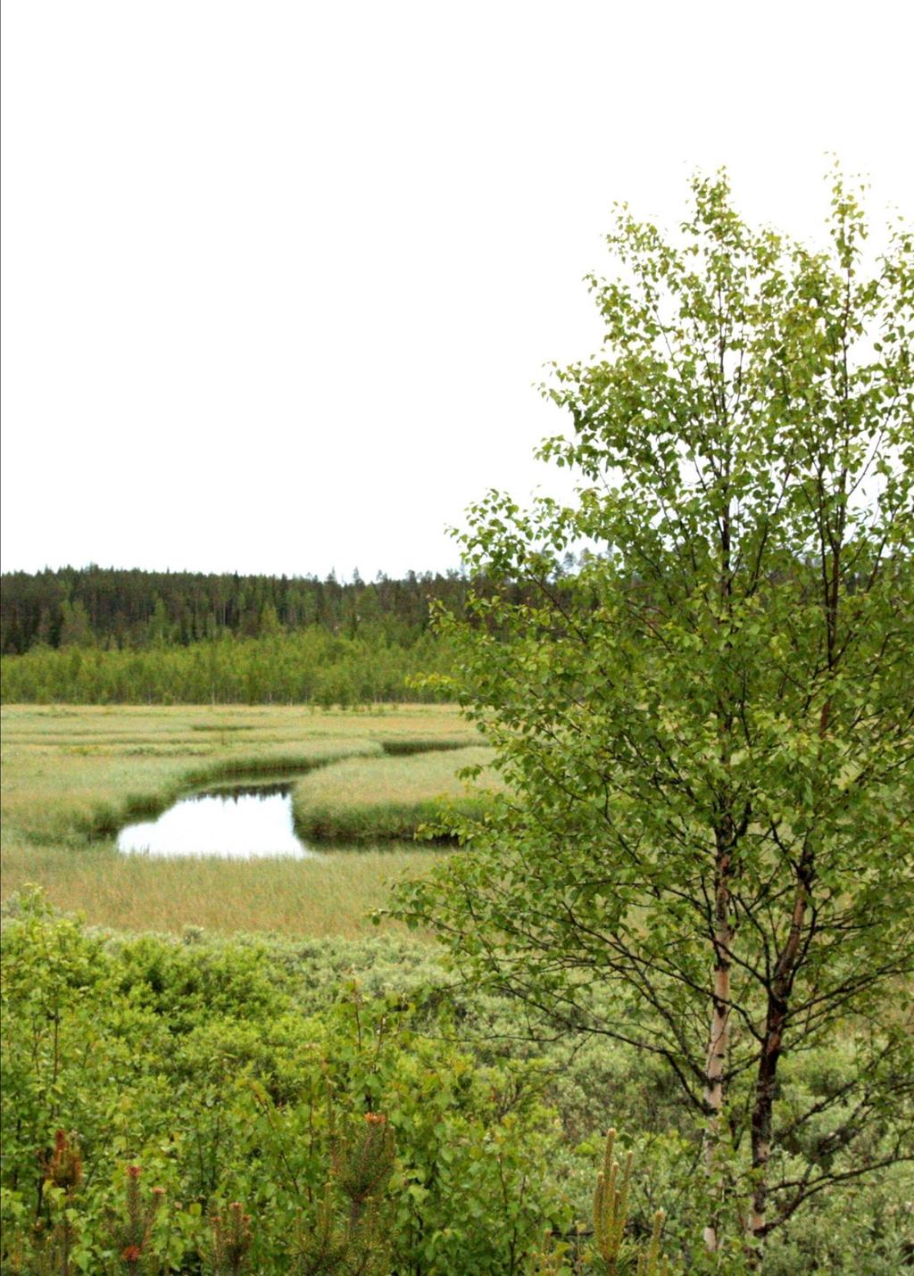 2 Kväve och övergödning