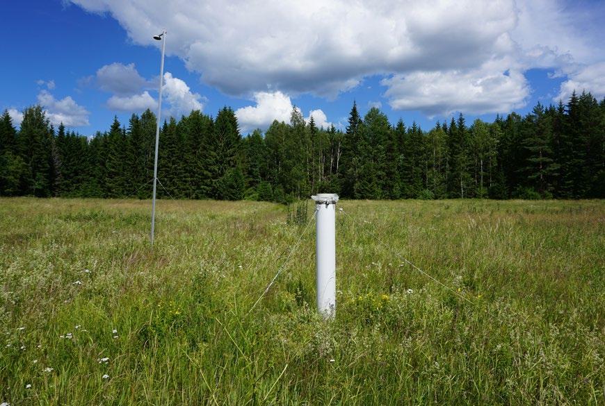 Skogen runt om provytan är i relativt stor utsträckning påverkad av olika stormar.