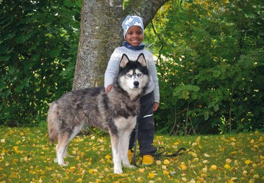 Interpedia 2016 SUOMI 2018 Kalenteri-Kalender Lapsi ja eläin Barn och djur Child and Animals Kommunikation Under 2017 utformade vi Interpedias kommunikationsplan 2018 2020.