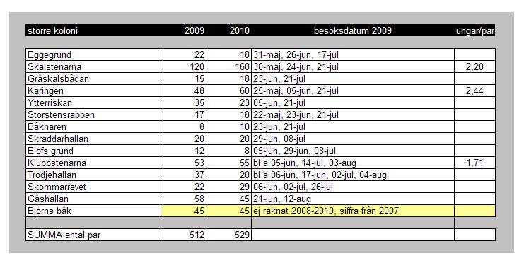 RESULTAT BESTÅNDSUTVECKLING Nedan visas populationsutvecklingen för kolonihäckande gråtrutar i Gästriklands skärgård. Tabell. Gråtrutpopulationen i Gävlebukten.