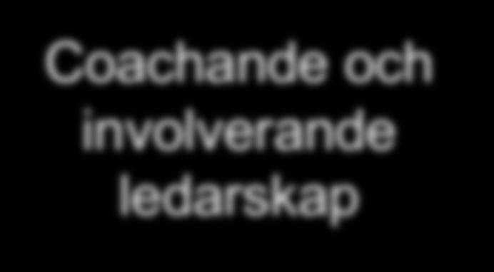 Framgångsfaktorer FOKUS OMRÅDE Ledarskap och involvering Gemensam företagskultur VMV Strukturer och Processer Resultatfokus INNEHÅLL q Ledarutveckling genom nätverksträffar q Coachande