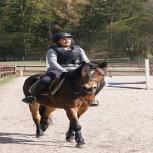 Säker hästhantering Att rida på en ridskola ansluten till Ridsportförbundet är en kvalitetssäkring man rider på en ridskola som