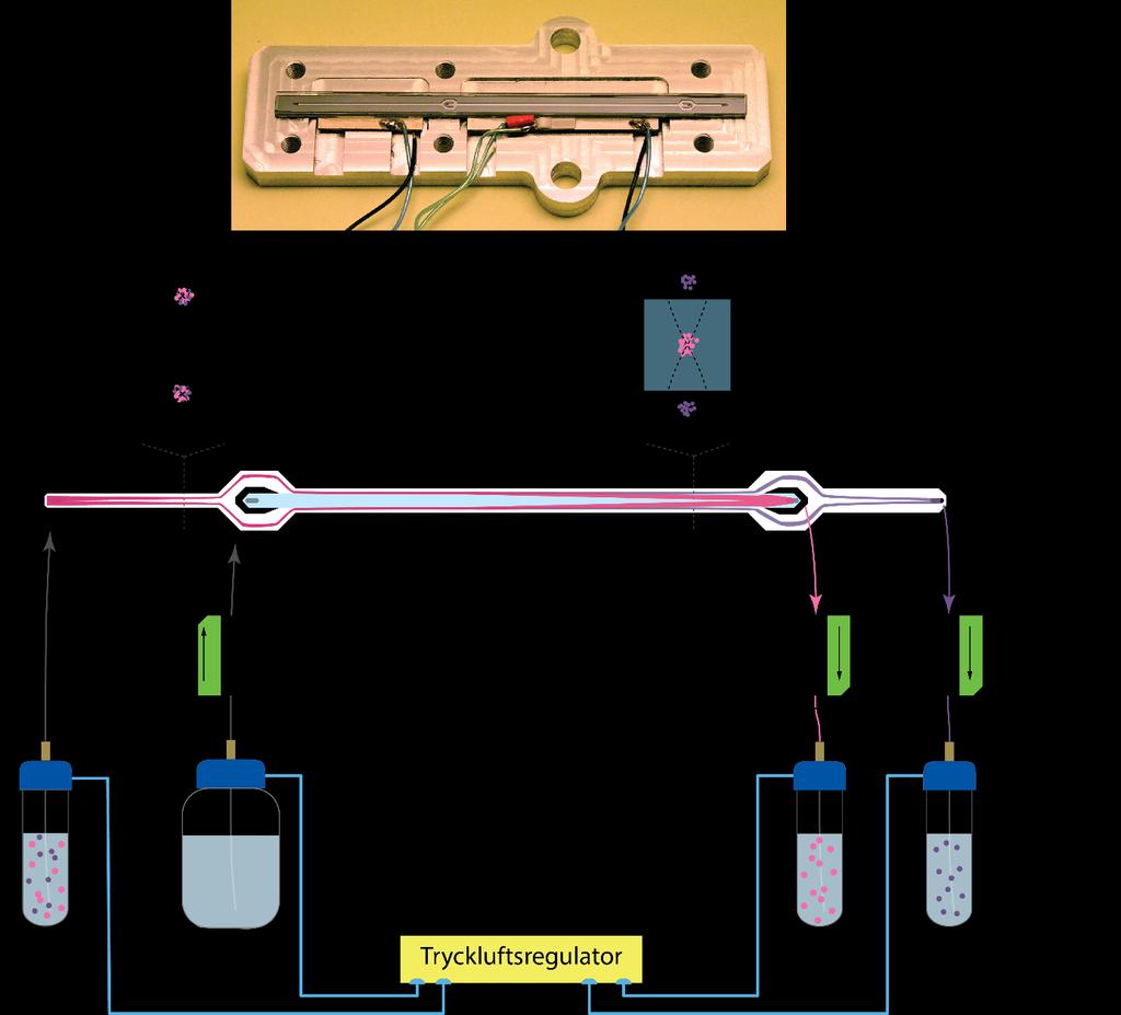 Flödessystemet Figur 1. Översikt av flödessystemet med en bild av kiselchippet överst.