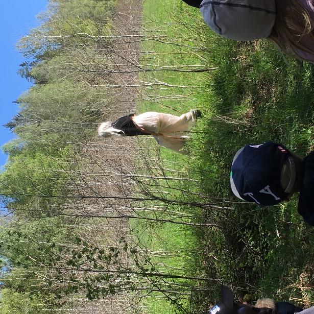 Det är någon som kommer ut från borgen och börjar gå ner mot oss. Vi lyssnar när han pratar för sig själv om hur stort allting blivit. Träden har visst vuxit jättemycket.