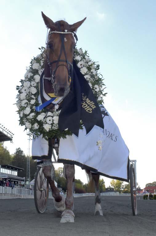 STARTANMÄLNINGAR AUGUSTI 29 torsdag Solvalla, Åby 30 fredag Gävle, Halmstad, Örebro 31 lördag SEPTEMB.