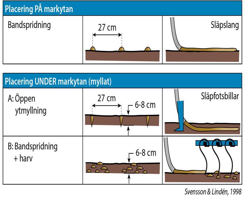 svinflyt, 2 tillfällen; vår och höst E: Bandspr.