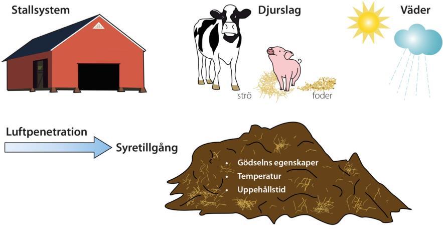 Lagring av fastgödsel 35 Illustration: Jordbruksverket Fastgödsel (JTI-rapport 42). Mindre antal försök Lagring Risk för höga lustgasemissioner, speciellt från djupströgödsel (2,5-9,8 % av total-n).