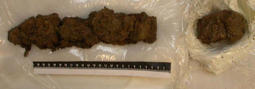 I samband med att preparatet grävdes ur lyftes successivt de brända benfragmenten ur och fick lufttorka på en bricka. Större benfragment rengjordes med vatten innan torkning.