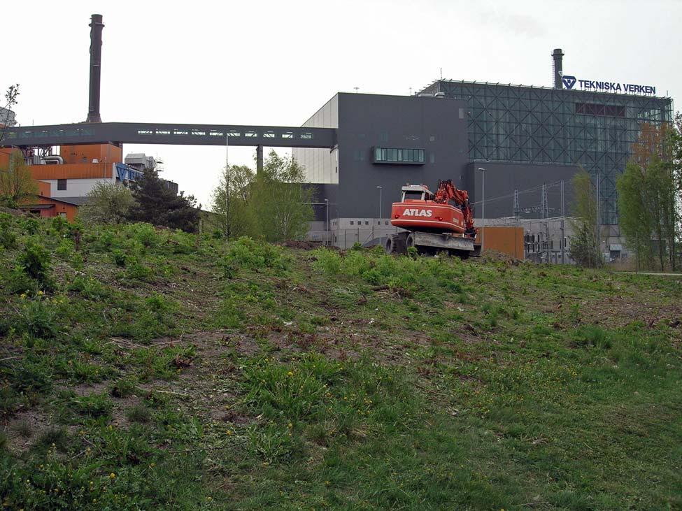 sa visade sig emellertid vara tertiärt deponerade. De hade fraktats till platsen i samband med plantering av träd som importerats från Danmark (Hörfors 1993).